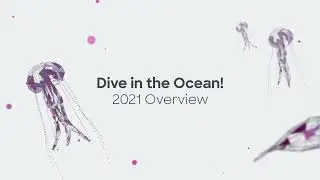 Ocean Protocol 2021 High Tide Wrap-up