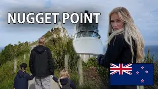 NUGGET POINT 🇳🇿 RESEVLOGG - LEIJDSTR&Ouml;MS