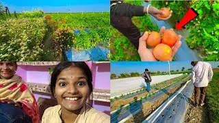 बुआ जी का Farm 👨‍🌾 full masti 😊