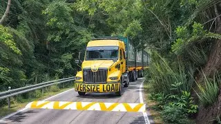 Trucks vs Speed Bumps SPECIAL #9 | BeamNGDrive | TBNG-Speed-Bump-Dio #trucks #speedbumps #special
