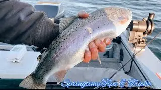 Springtime Salmon & Rainbow TIPS & TRICKS! Lake Winnipesaukee