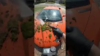 ASMR $450000 Lamborghini Aventador Car Restoration #asmr #carrestoration #satisfying #abandonedcar