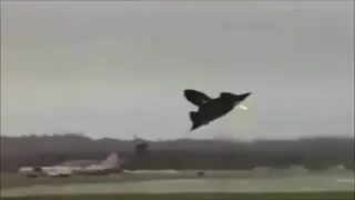 Szaleni piloci....