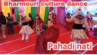 Discover the Magic of Bharmouri Nati! | gaddi nati