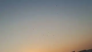 Stol de pescăruși pe cer