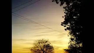 Dandi village, birds singing in early morning