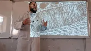 الموجز في التنفس والتخمر - الجزء 1