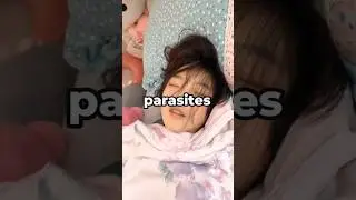Взрослые в Японии выбирают родителей вместо квартир #Япония #шорты #хикикомори
