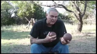 Action Bocce