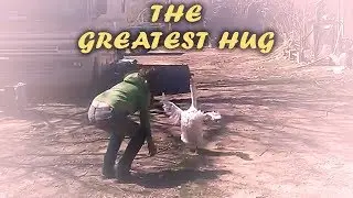 Goose Hugs Woman - The Greatest Hug of All Time