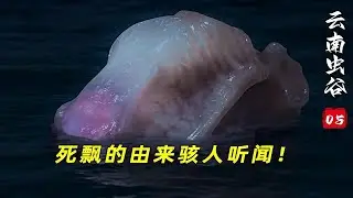 云南虫谷中死飘的由来，简直骇人听闻