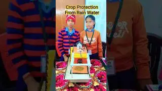 Crop Protection From Rain Water 💦🌊 #pbl #pbl #tlm #education #tlmmela #pblmela #scienceproject #sci
