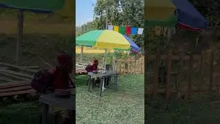 Folk music and nature #shorts #viralreels #naturelovers #happiness #orangegarden #beautiful #peace