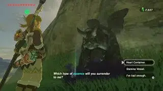 How to Swap Heart Containers/Stamina Vessels | Zelda: Breath of the Wild