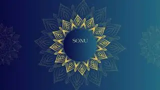 Infrared Induction Cooker Manufacturer- Sonu Trading Co