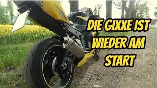 Gixxe is back in 2019