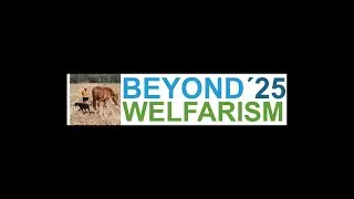 Beyond Welfarism 2025 Debate: Ethics, Culture & the Future of Horse Well-Being
