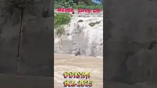 BEd Entrance Preparation 2025 Never Give Up || BEd Entrance 2025 || Master Brain IQ