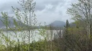 Heart Creek Trail Canmore Alberta Canada May 2021 #hiking #2021 #May #summer #nature #weekend