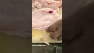 Shawarma chicken cutting