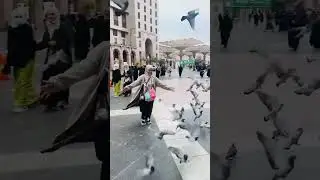 Masha,Allah makkah live madinah live #makkah #madina #shorts #hajjlive #shortvideo #mecca Ramadan