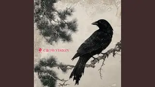 CROWVISION