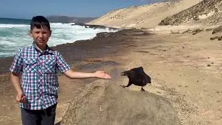Playa de Aqua Liques -    Fuerteventura