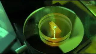 Quantum holographic information from image Elon Musk
