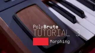 Tutorials | PolyBrute - Episode 3: Morphing