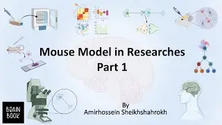 Mouse model in research (part 1)