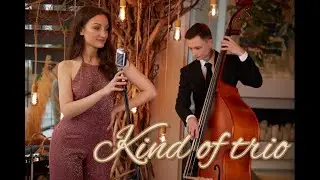 Jazz team 