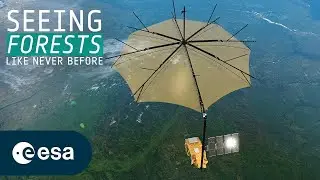 The satellite that sees through forests | Biomass mission