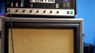 Fortin Bones Classic / Plexish tone