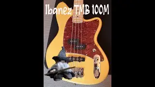 Ibanez TMB 100M Bass Guitar - Full Setup with Fret Leveling, Crowning, and Polishing