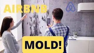 Mold in My Airbnb  How I Got a Refund! (Mold Testing Baltimore Maryland)