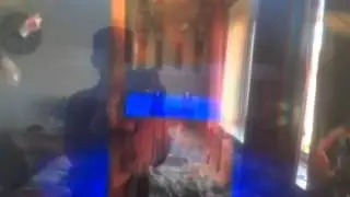 Death by magic
