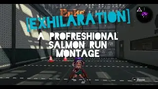 [EXHILARATION] - A Splatoon 2 Profreshional Salmon Run Montage - 1