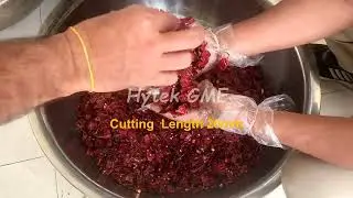 Automatic Dry Red chilli Cutting Machine With Seed Separator | High Speed Red Chilli Cutting Machine