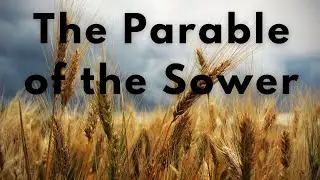 The Parable of the Sower || The Four types of Hearts (Soils)