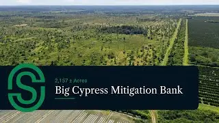 2,157&plusmn; Acres in Big Cypress: A Rare Florida Mitigation Bank & Wildlife Haven