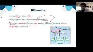 Bilirubin Degradation I Rasoul Turko I HLS 122 PAL review session
