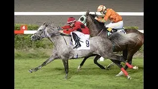 Ali Rıza Bey Koşusu (Grup - 2) 25/06/2017