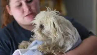 Charlie Survived a House Fire and Getting Shot in the Face