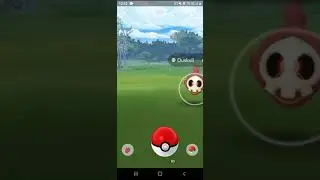 legal peguei um SHINY!