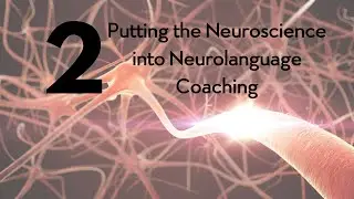 Language Coaching - Putting the Neuroscience into Neurolanguage Coaching