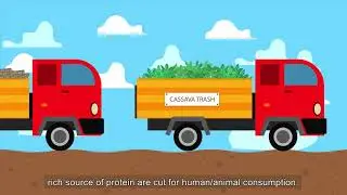 Circular Economy - The Cassava story | STEAM KMUTT