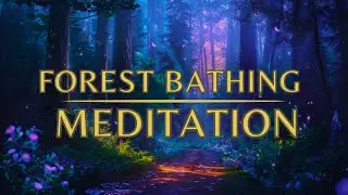 Guided Meditation for Sleep - The Forest Bathing Meditation - SLEEP Meditation