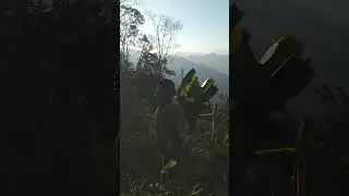 11 /1/2026.ua nu muag zoo li npau suav