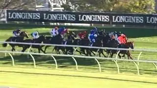 Group 1 Epsom Handicap - Winx