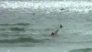 Destin Beach Report - December 16, 2012